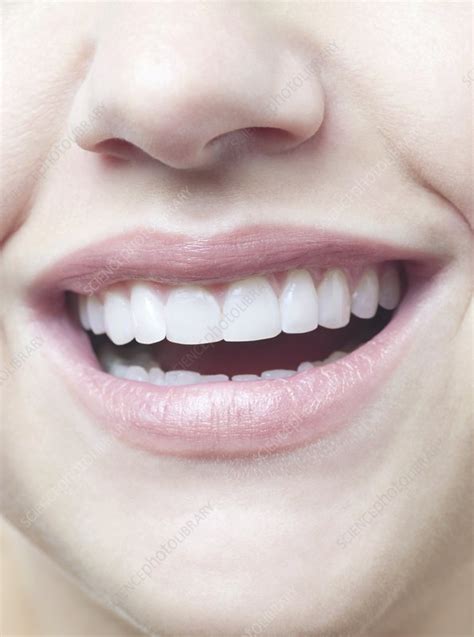 Womans Smile Stock Image F0039342 Science Photo