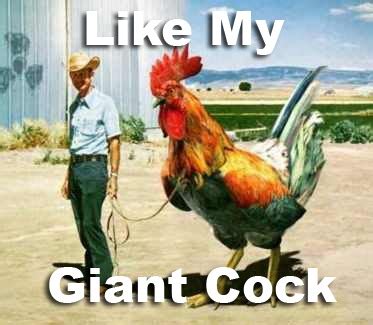 Giant Cock Shut Up I M Talking