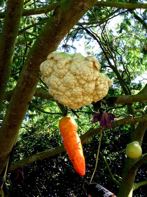 Cauliflower Carrot Tree Kate Raynes Goldie Flickr