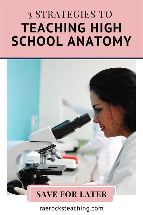 3 Strategies To Teaching High School Anatomy And Physiology Artofit