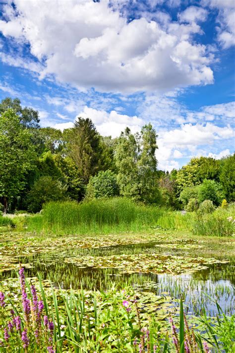 The Landscape Of Greenery A Pond And Clouds In A Blue Sky Stock Image