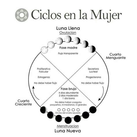 Pin De Jessica Manzanares En Wich Menstruacion Luna Menguante Ciclo