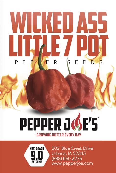 Wicked Ass Little 7 Pot Wal 7 Pepper Seeds Pepper Joes