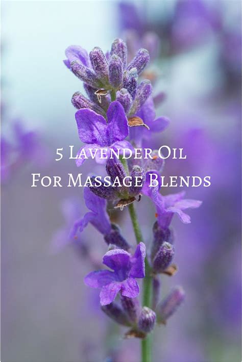 Using Lavender Oil For Massage Will Help To Relax The Mind And Body