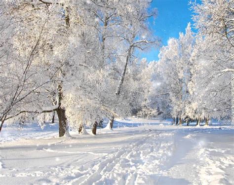 10 Latest Free Winter Scene Screensavers Full Hd 1920×1080 For Pc