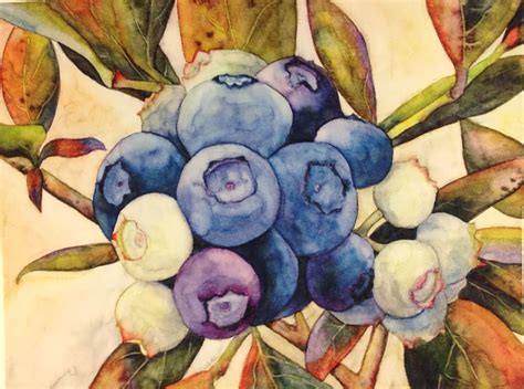 Some Watercolor Blueberries I Painted Art Botanical Art Watercolor