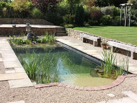 Diy Swim Pond Build Your Own Backyard Oasis What Happen World
