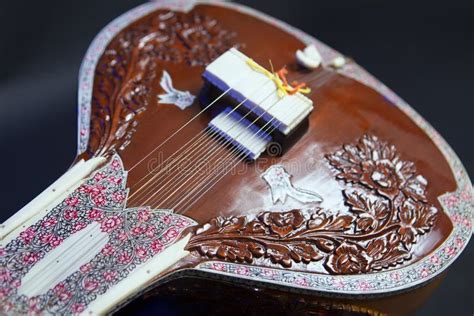 Sitar A String Traditional Indian Musical Instrument Stock Image