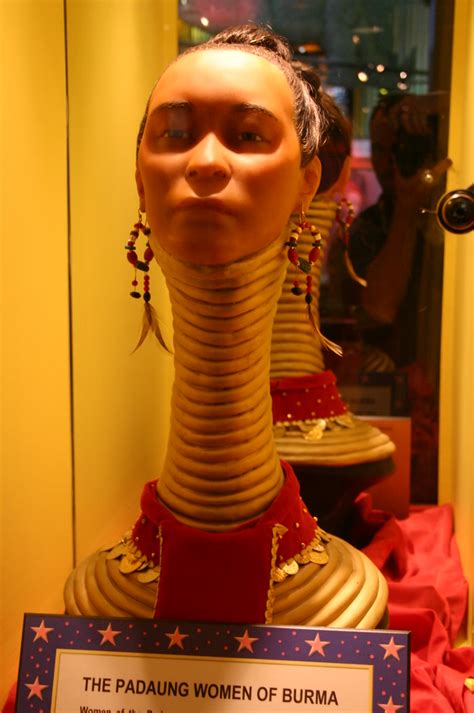 Ripley's believe it or not!, an american franchise which deals in bizarre events and items. Padaung Women of Burma | Taken at the Ripley's Believe It ...