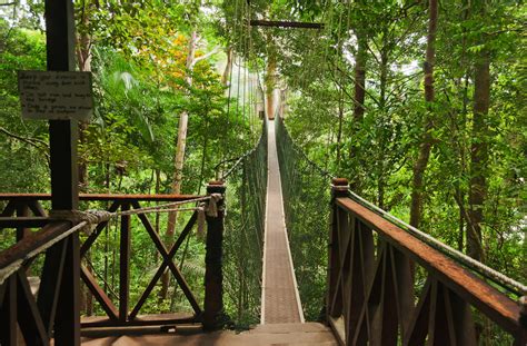 Experiencetaman negara national park.promoting your link also lets your audience know that you are featured on a rapidly growing travel site.in addition setup your trip planning widget for best results, use the customized trip planning widget for taman negara national park on your website.it has all. Taman Negara, Pahang. Photo: Elena Mirage/Shutterstock