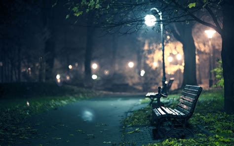 Park Benches Full Hd Wallpaper And Background Image 2560x1600 Id410698