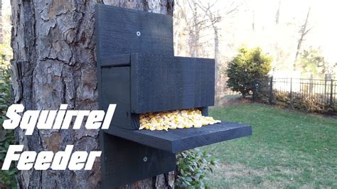 25 Diy Squirrel Feeder Plans For Your Backyard The Self Sufficient Living