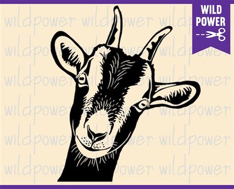 Drawing And Illustration Farmhouse Sign Farm Svg Goat Shirt Farm Animal