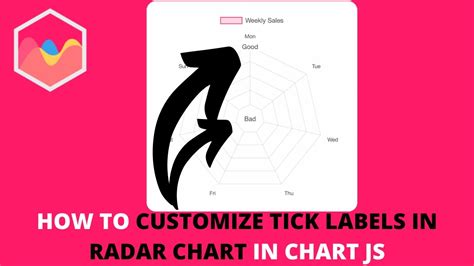 How To Customize Tick Labels In Radar Chart In Chart JS YouTube