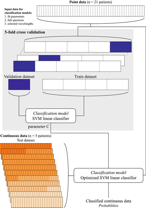 Schematic Overview Of The Classification Model Development With Point