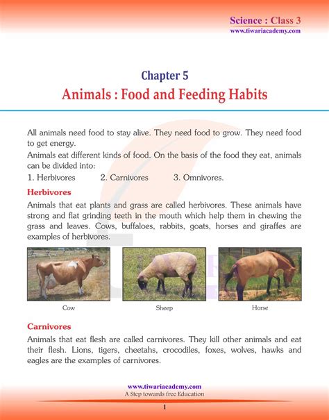 Solutions For Class 3 Science Chapter 5 Animals Food Feeding Habits