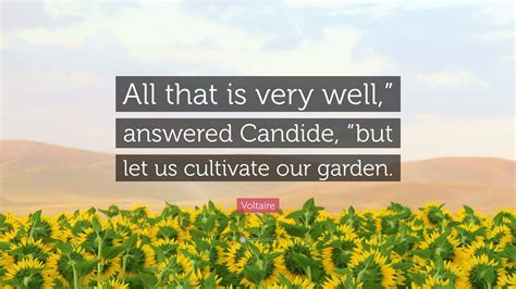 Voltaire Quote “all That Is Very Well” Answered Candide “but Let Us