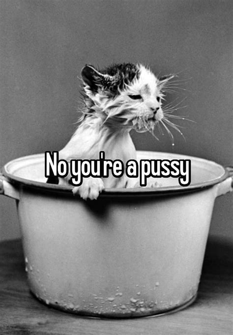 No Youre A Pussy