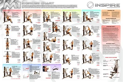 Printable Bowflex Workout Chart Free Download Printable Templates