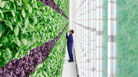 Vertical Farming Agritech Future