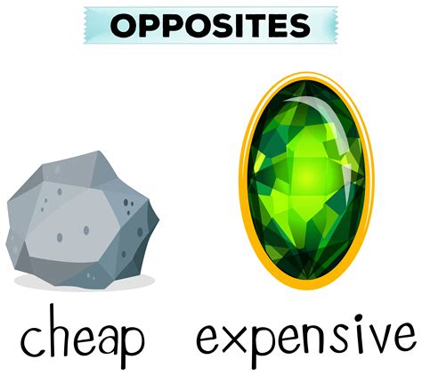 Opposite Words For Cheap And Expensive 292543 Vector Art At Vecteezy