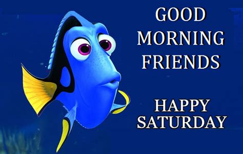 Good Morning Friends Happy Saturday Pictures Photos And Images For