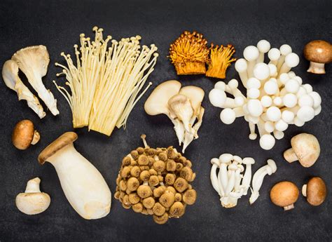Different Varieties Of Mushrooms — Westridge Fruit And Vegetables