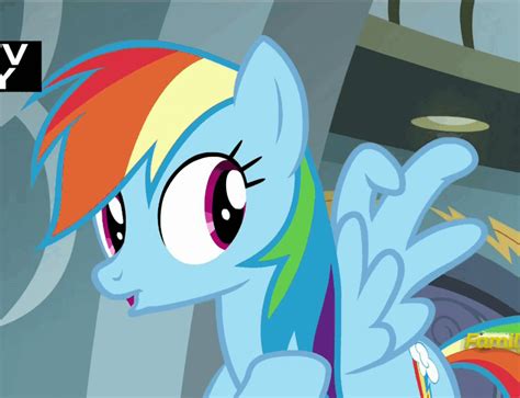 Rainbow Dash Wing Hands My Little Pony Friendship Is Magic Know