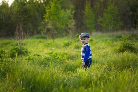 Baby Boy Playing On Meadow Stock Photo Image Of Cute 71163462