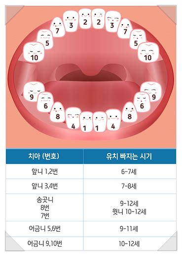 우리 아기 유치 빠지는 시기와 순서 알아보기 네이버 블로그