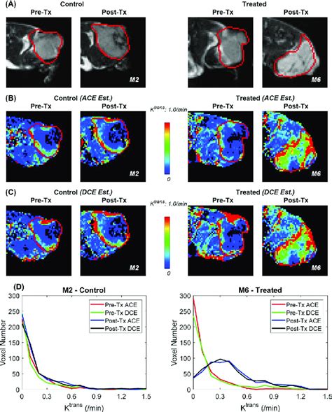 Representative T Weighted Tumor Images A For Control Group Mouse