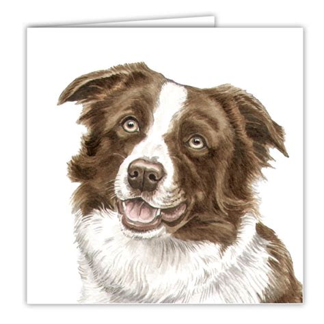 Border Collie Dog Card Amaranta