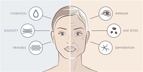 Aging Signs And Solutions To Intervene Prevent And Improve Skin With Science Standards Flora