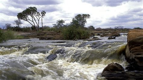 Athi Galana Sabaki River Vacanze E Turismo In Kenya Viaggio