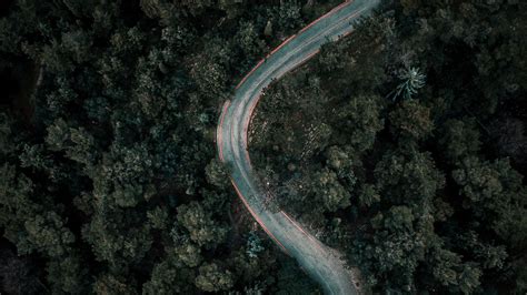 Wallpaper Forest Road Winding Aerial View Nature Hd Picture Image