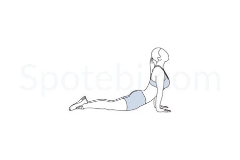 Ab Stretch Exercise Guide With Instructions Demonstration Calories Burned And Muscles Worked