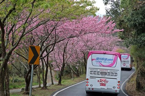 Search for text in self post contents. 武陵農場櫻花季2月登場 客運車票明中午12點開放訂購 - 生活 - 自由時報電子報