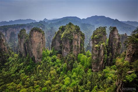 It is one of several national parks within the wulingyuan scenic area. Zhangjiajie National Forest Park #9