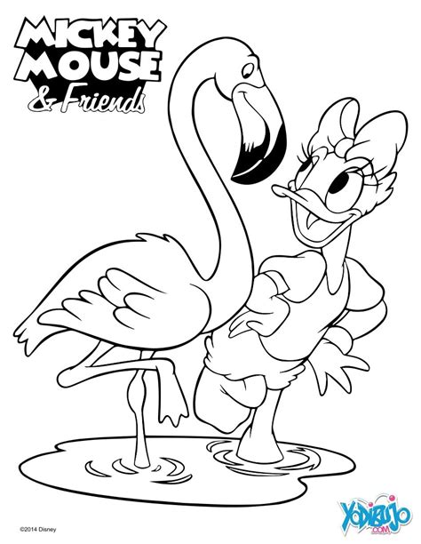 Dama Daisy Duck Caminando Para Colorear Imprimir E Dibujar Dibujos