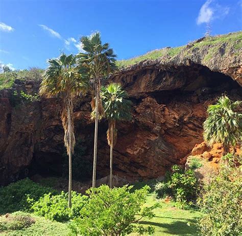 The Makauwahi Cave In Poipu A Historical Kauai Adventure