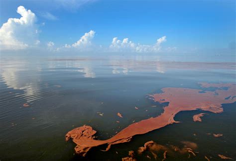Deepwater Horizon Oil Spill Facts