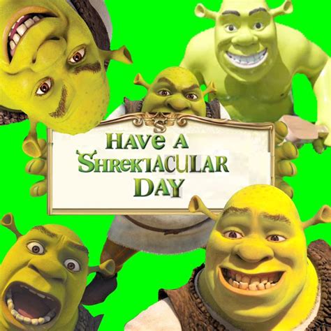 Heres A Shrek Birthday Card I Designed Rshrek