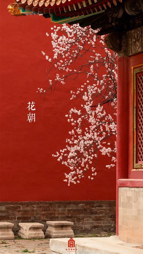 Aesthetic China Wallpapers Wallpaper Cave