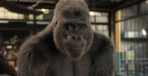 Disney's new movie the one and only ivan is inspired on the true story of a western lowland gorilla who lived inside a shopping mall for 27 years. 'The One and Only Ivan,' on Disney+, offers a gorilla-eye ...