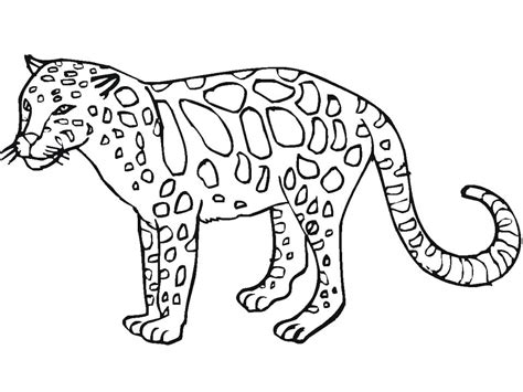Normal Leopard Coloring Page Free Printable Coloring Pages For Kids
