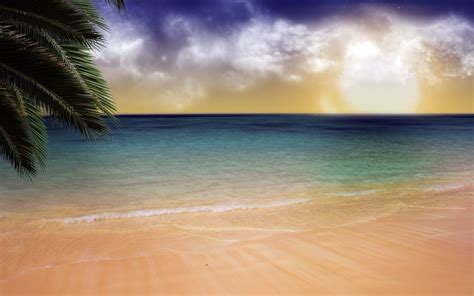 1920x1200 Beach Sand Palm Trees Wallpaper Coolwallpapersme