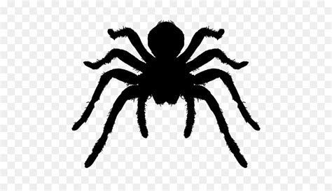 T Shirt Spider Silhouette Clip Art T Shirt Png Download 6651000