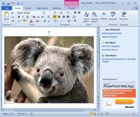 Microsoft Office Picture Manager 2007 Lanetahollywood