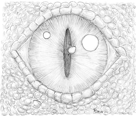 Eye Pencil Drawing Dragon Eye Drawing Examples