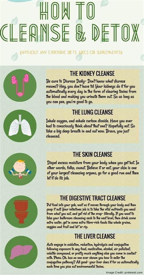 how to detoxify and cleanse your body [an infographic] bowtrol